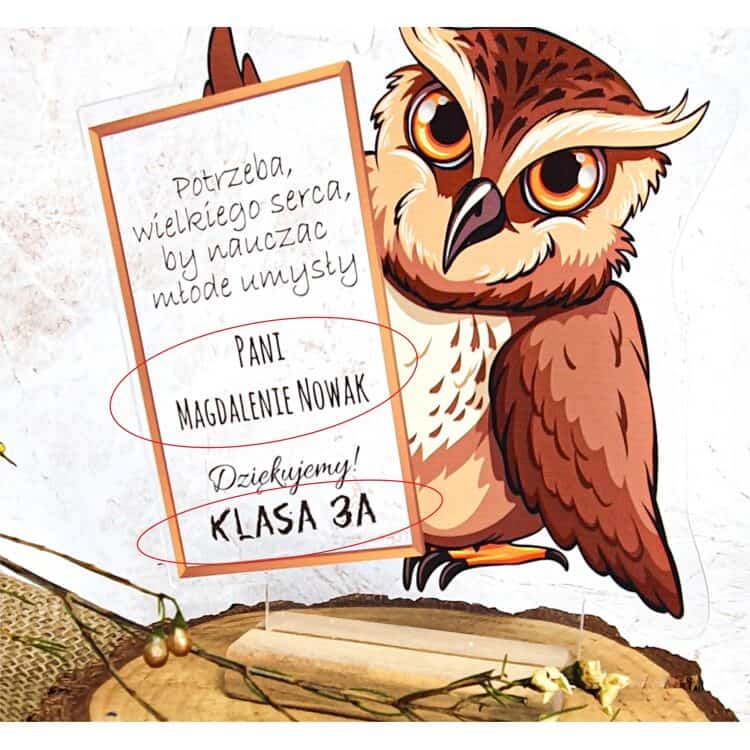 Statuetka Upominkowa Dziękuję Nauczycielowi Wychowawcy Sowa - obrazek 3